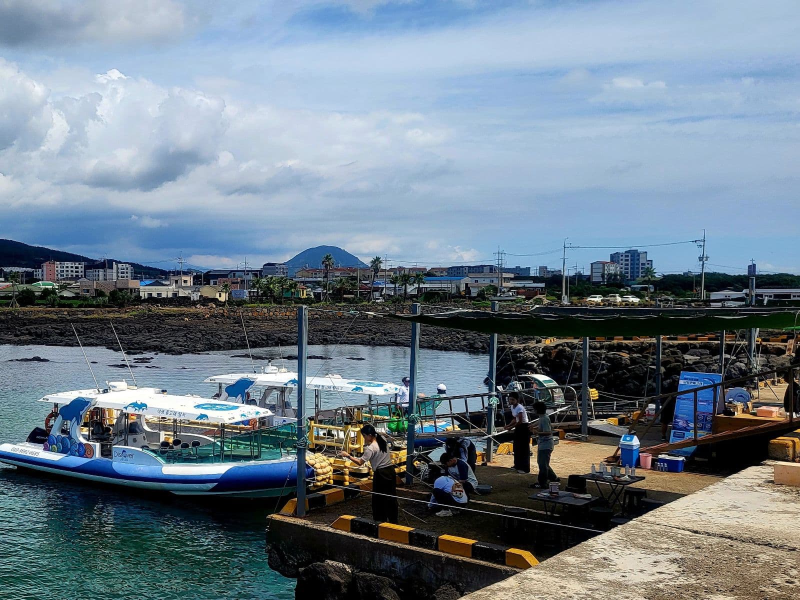 서귀포 대정읍 동일리포구 선착장에서 출항 준비 중인 돌고래 투어 선박