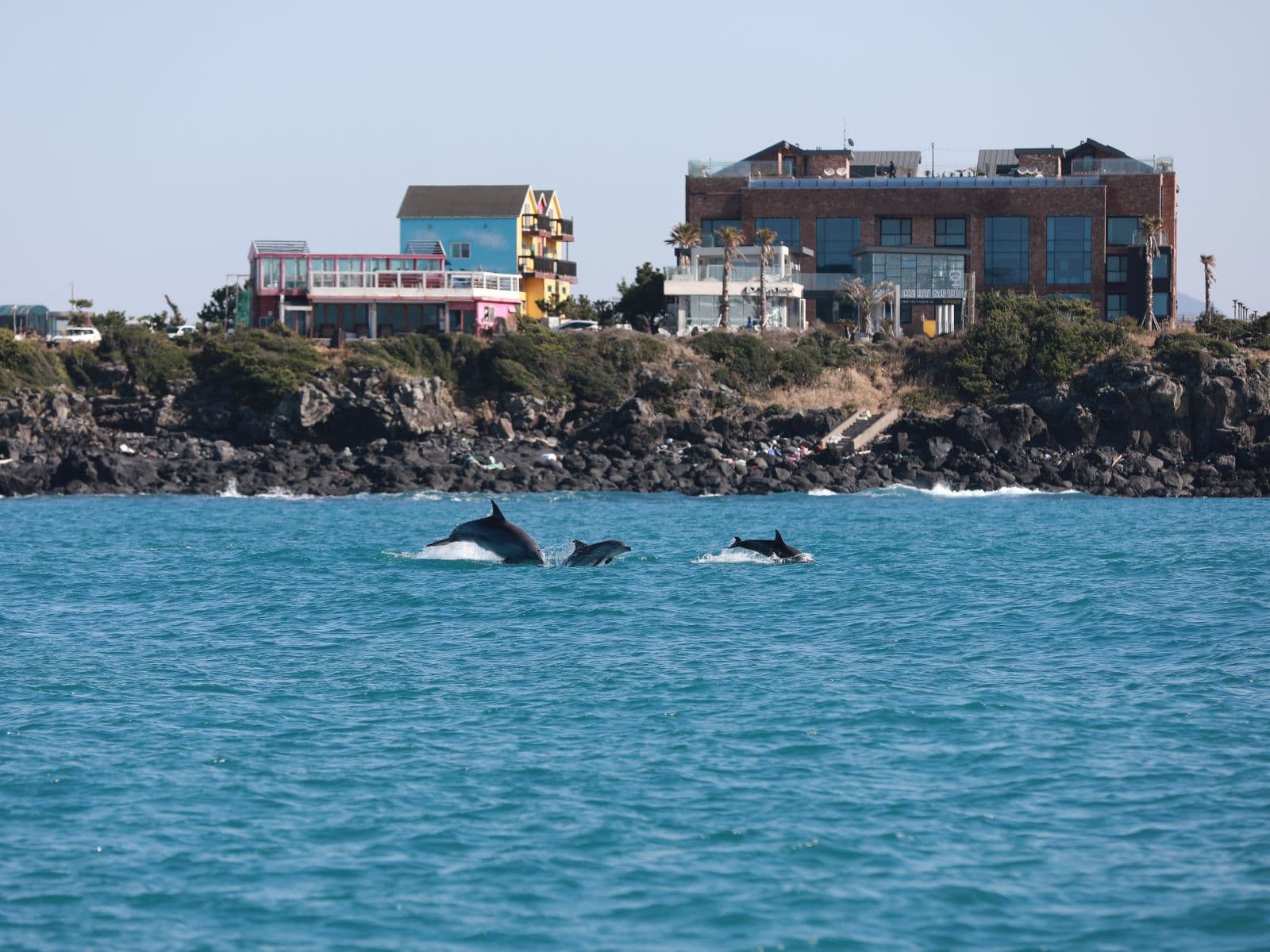 제주 서귀포 동일리 해역을 항해하는 돌고래 탐사 선박 전경